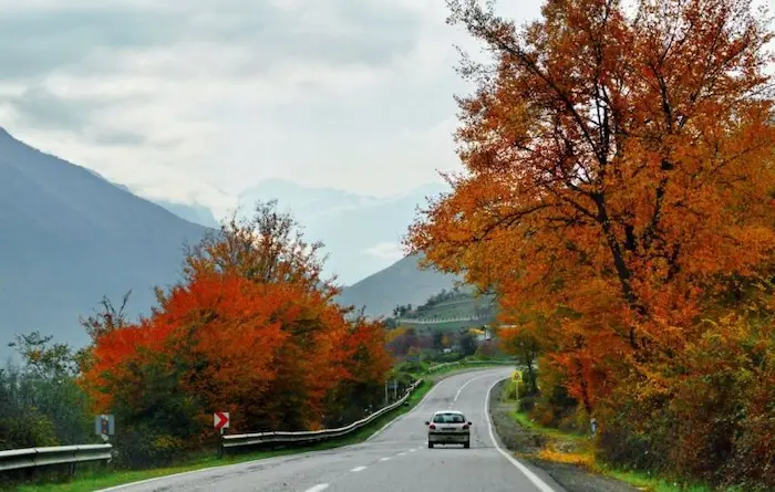 وجود درختان با برگ های نارنجی درکنار جاده ی هراز و ماشین در حال حرکت درجاده 908979786