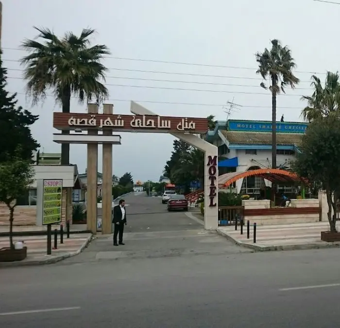 ورودی تل شهر قصه محمود آباد با درختان کاج 565265263216312